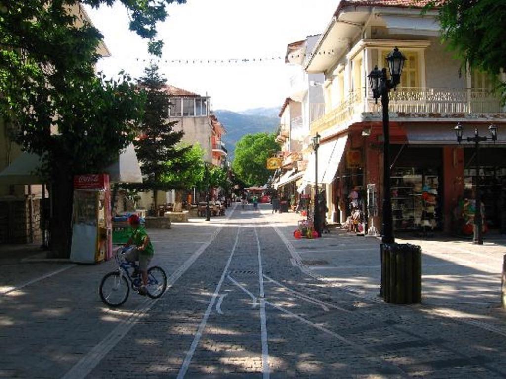 Xylino Chalet Kalavryta Exterior photo