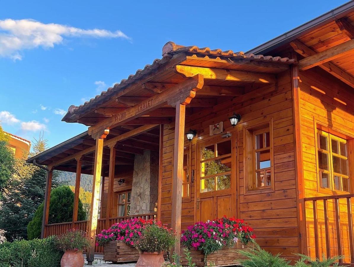 Xylino Chalet Kalavryta Exterior photo