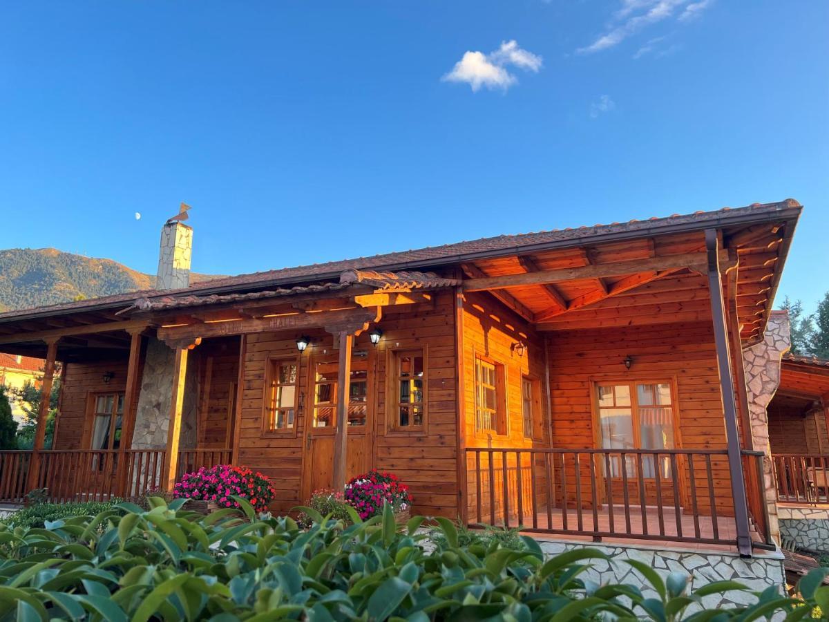 Xylino Chalet Kalavryta Exterior photo
