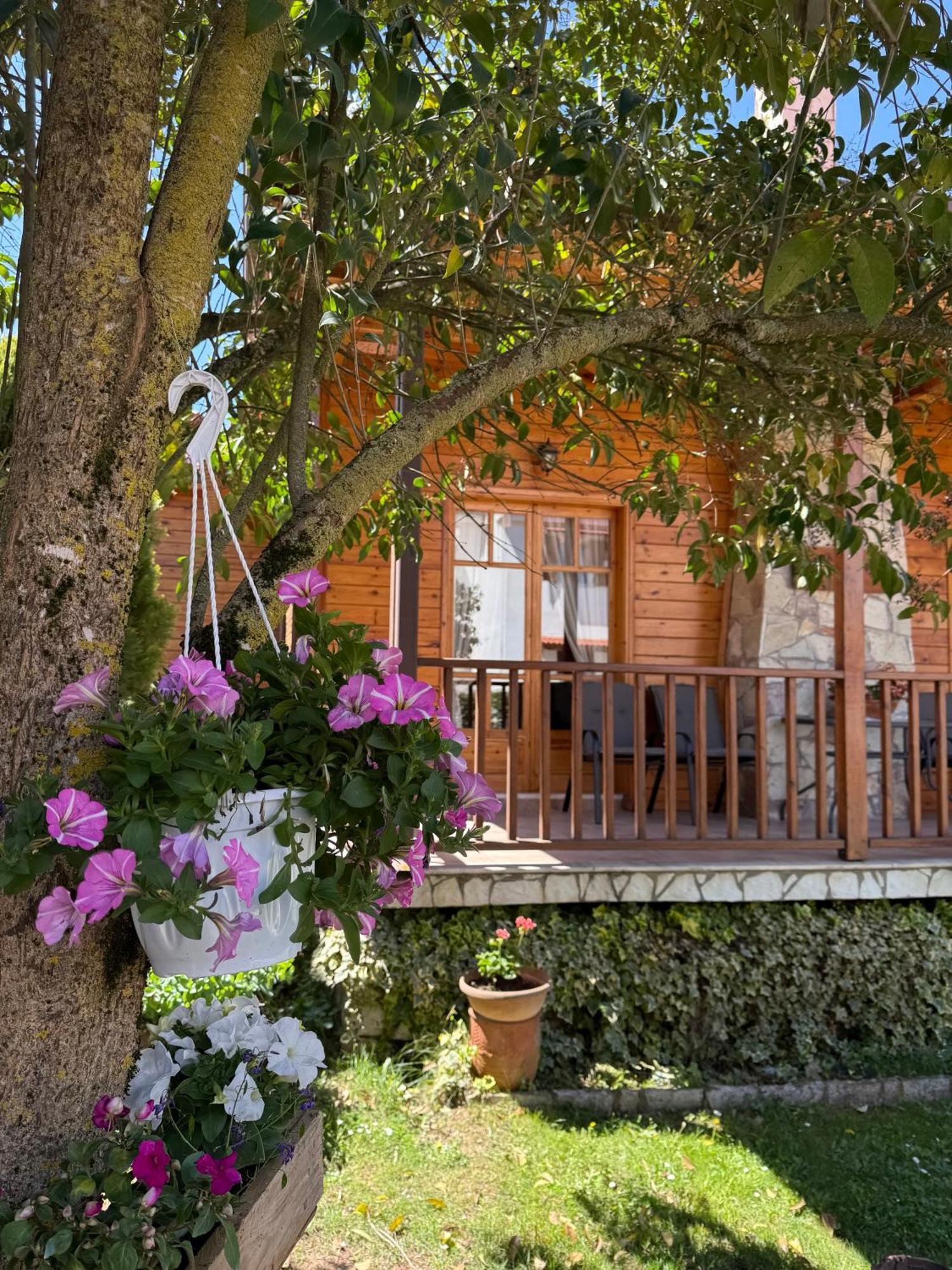 Xylino Chalet Kalavryta Exterior photo
